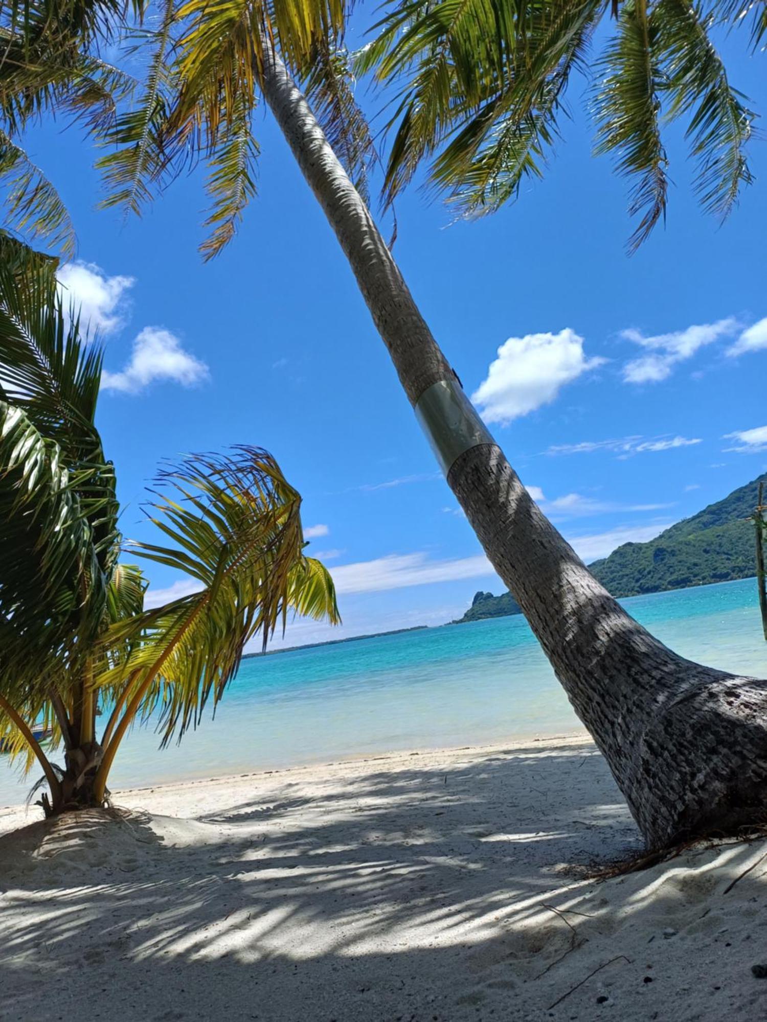 Poemanahere Island Camping A Maupiti Te-Fare-Arii Exteriér fotografie