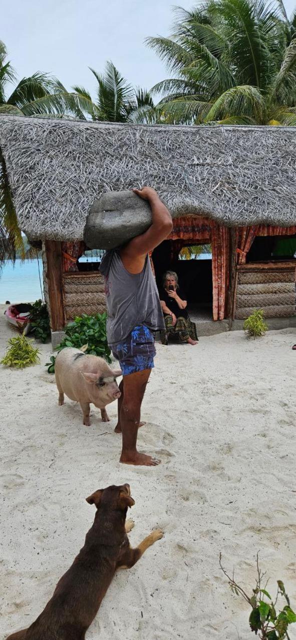 Poemanahere Island Camping A Maupiti Te-Fare-Arii Exteriér fotografie