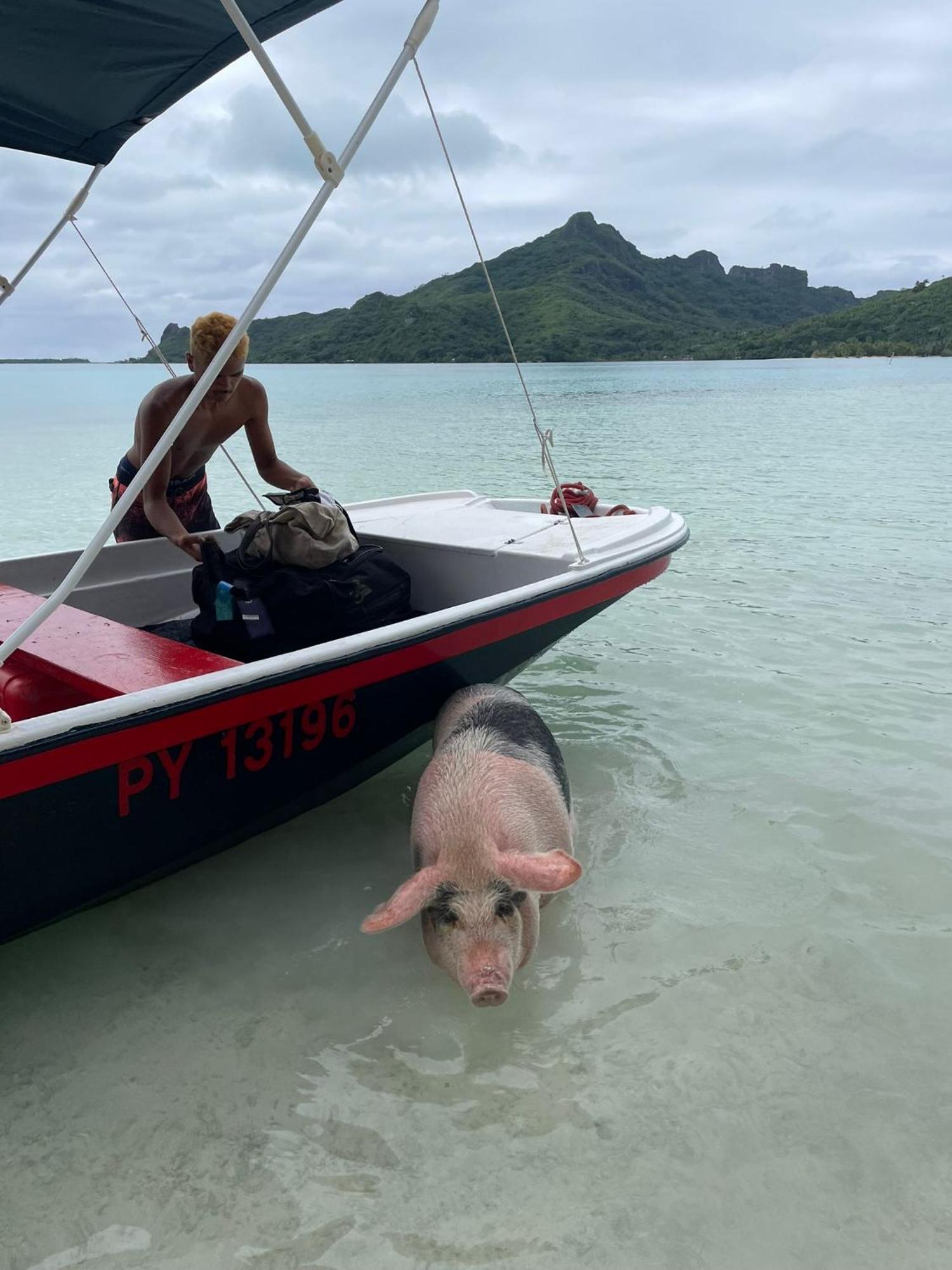 Poemanahere Island Camping A Maupiti Te-Fare-Arii Exteriér fotografie