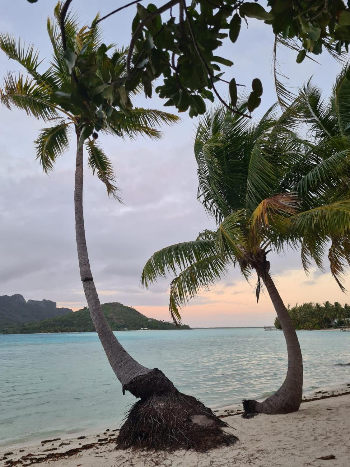 Poemanahere Island Camping A Maupiti Te-Fare-Arii Exteriér fotografie