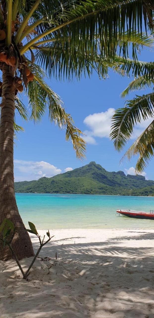 Poemanahere Island Camping A Maupiti Te-Fare-Arii Exteriér fotografie