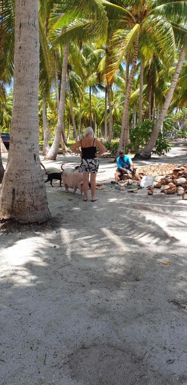 Poemanahere Island Camping A Maupiti Te-Fare-Arii Exteriér fotografie
